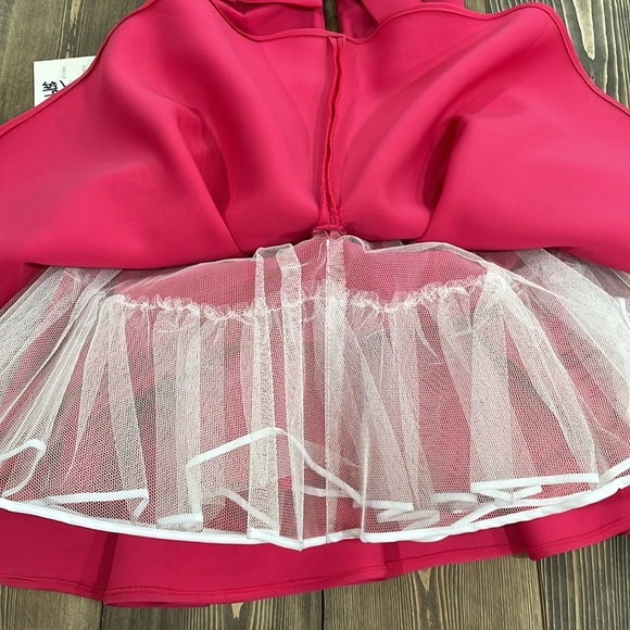 🌟6x Host Pick🌟Pink Rachel Allan Dress - Picture 5 of 8